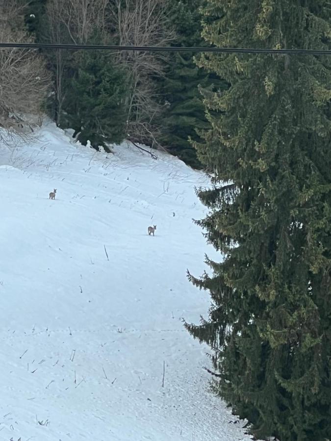 Kamena Pamporovo Hotel Buitenkant foto
